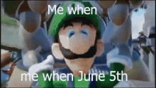 Luigi June GIF - Luigi June 5th GIFs