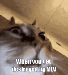 When You Get Destroyed By Mlv GIF - When You Get Destroyed By Mlv GIFs