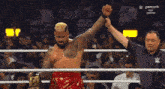 a man in a wrestling ring with a peacock logo