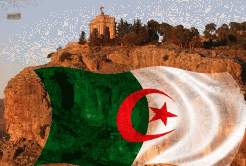 L'Algérie GIF - Algerie - Discover & Share GIFs
