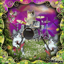 Pet Band Blingee Dog Drummer Blingee GIF - Pet Band Blingee Dog Drummer Blingee Cute GIFs