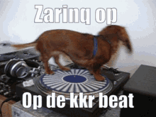 Zarinq Op De Beat GIF - Zarinq Op De Beat Op De Kkr Beat GIFs