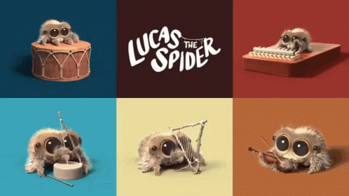 Lucas The Spider Cute Spider GIF - Lucas The Spider Cute Spider ...