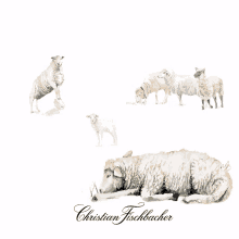 Christian Fischbacher Good Night GIF - Christian Fischbacher Good Night Sheepish GIFs