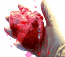 Love Heart GIF - Love Heart Squish GIFs