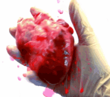 a hand is holding a bloody heart with a white glove on
