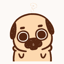 confused pug