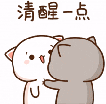 peach goma shake peach goma shake