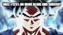 Rule 1231 Goku GIF - Rule 1231 Rule Goku GIFs
