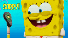 a picture of spongebob with the words sorry written on it