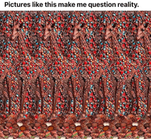 a picture of a giraffe covered in candy with the caption pictures like this make me question reality