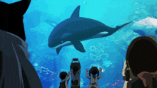 a group of people looking at a whale in a tank