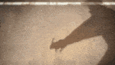 a shadow of a person holding a hammer on a wall .