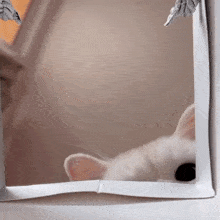 GIF