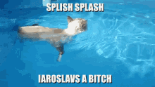 Iaroslav Cat GIF - Iaroslav Cat Water GIFs