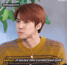 Sehun: It Tastes Like Condensed Milk?31.Gif GIF - Sehun: It Tastes Like Condensed Milk?31 Person Human GIFs