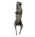 a dog is jumping in the air with its paws up .