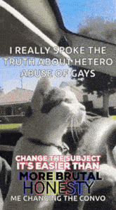 a cat is driving a car with a caption that says i really spoke the truth about hetero