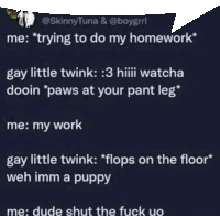 a screenshot of a tweet by skinnytuna and boygrl