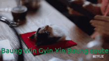 Baung Win GIF - Baung Win GIFs
