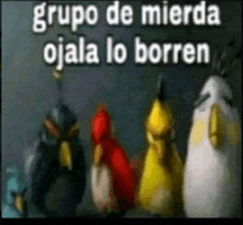 a group of angry birds standing next to each other with the words grupo de mierda ojala lo borren written on the bottom
