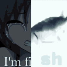 fish anime girl sh im fi crying