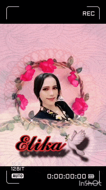 Elika0101 GIF - Elika0101 GIFs