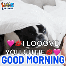 a dog is laying under a blanket with a good morning message