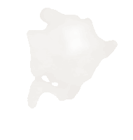 a white background with a gray gradient in the middle