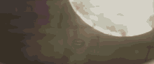 a person is standing in front of a full moon in a foggy room .