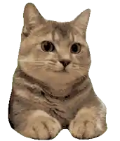 a pixelated image of a cat with the words made with on the bottom left