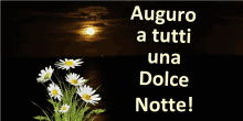 Dolce Notte GIF - Dolce Notte GIFs
