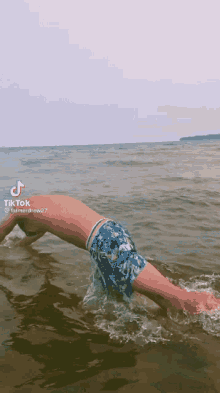 Andrew Wright Drewski GIF - Andrew Wright Drewski Dive In GIFs