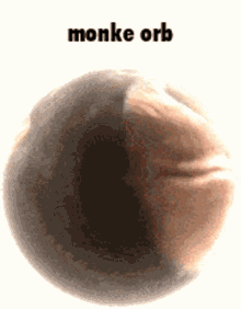 eating orb