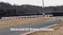 raceraadi driving simulator karting fail