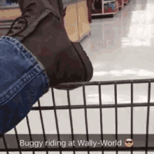 Buggy Riding At Walmart GIF - Walmart Wallyworld Buggyriding GIFs