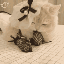 Cat Gif Anime Sex Toon - Sex Kitten GIFs | Tenor