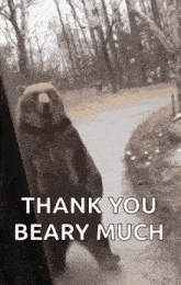 a brown bear is standing on its hind legs in a zoo enclosure .