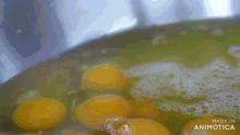 a person 's hand is reaching into a bowl of eggs with the words made in animotica visible