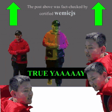 the post above was fact-checked by certified wemicijs and true yaaaay
