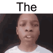 The Black Kid Speaking Facts GIF - The Black Kid Speaking Facts GIFs
