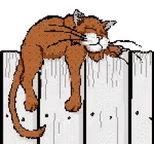 a cat is laying on a wooden fence .