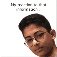 Reaction Information GIF - Reaction Information Meme GIFs