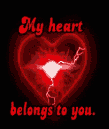 troy my heart belongs to you heart electrocute heart belongs to you