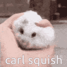 Carl Squish Carl GIF - Carl Squish Carl Rat GIFs