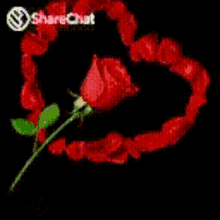 I Love You गुलाब GIF - I Love You गुलाब आईलवयू GIFs