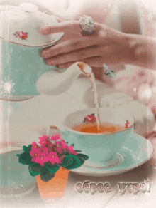 Tea Pour GIF - Tea Pour Tea T Ime GIFs