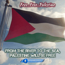 Palestine Palestine Flag GIF
