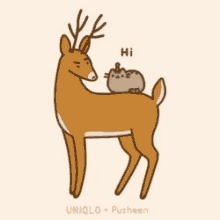 hi reindeer