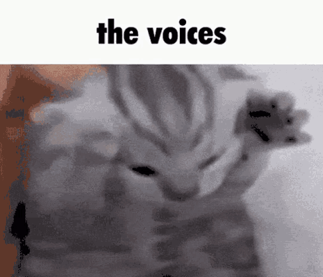 Schizo Cat The Voices GIF Schizo Cat The Voices Discover Share GIFs